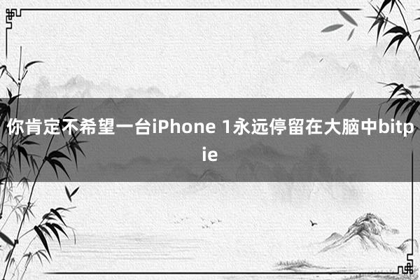 你肯定不希望一台iPhone 1永远停留在大脑中bitpie