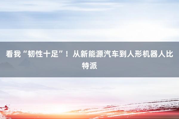 看我“韧性十足”！从新能源汽车到人形机器人比特派