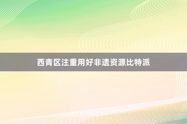 西青区注重用好非遗资源比特派