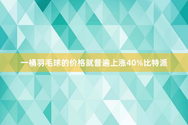 一桶羽毛球的价格就普遍上涨40%比特派