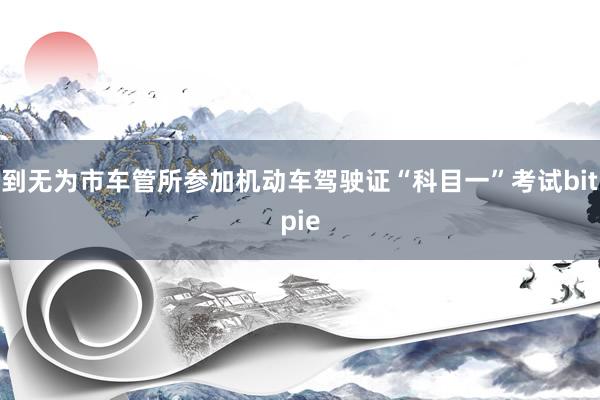 到无为市车管所参加机动车驾驶证“科目一”考试bitpie