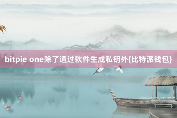 bitpie one除了通过软件生成私钥外{比特派钱包}