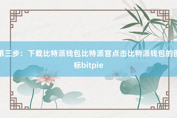 第三步：下载比特派钱包比特派官点击比特派钱包的图标bitpie