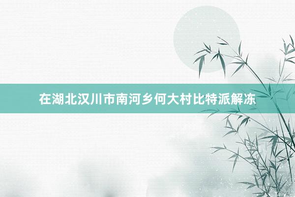 在湖北汉川市南河乡何大村比特派解冻