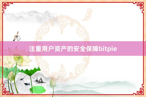 注重用户资产的安全保障bitpie