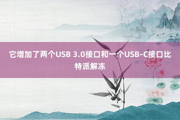 它增加了两个USB 3.0接口和一个USB-C接口比特派解冻