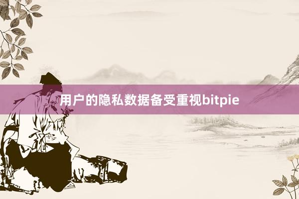 用户的隐私数据备受重视bitpie