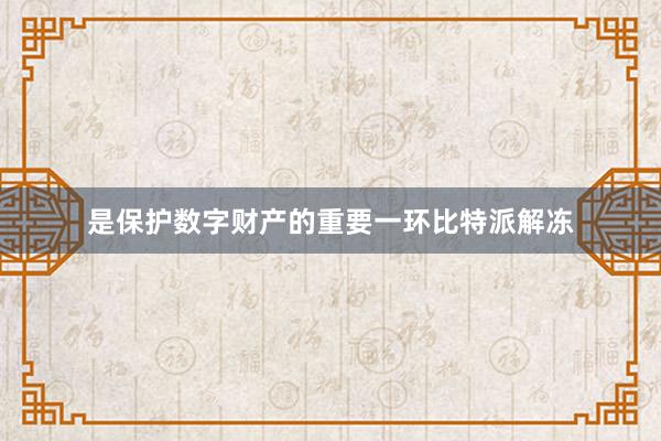 是保护数字财产的重要一环比特派解冻