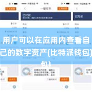 用户可以在应用内查看自己的数字资产{比特派钱包}