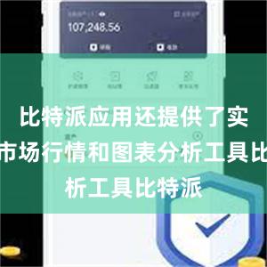 比特派应用还提供了实时的市场行情和图表分析工具比特派