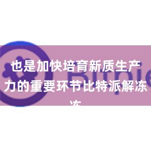 也是加快培育新质生产力的重要环节比特派解冻