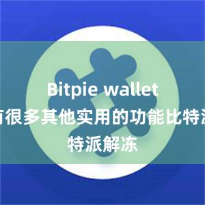 Bitpie wallet还具有很多其他实用的功能比特派解冻